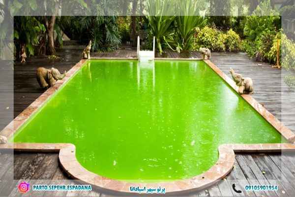 چرا آب استخر سبز می‌شود